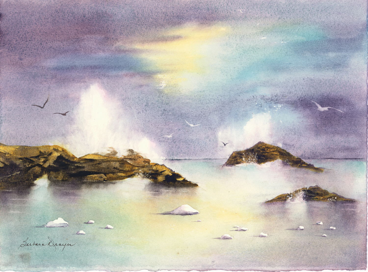Seagulls and Rocks by Barbara Drayer