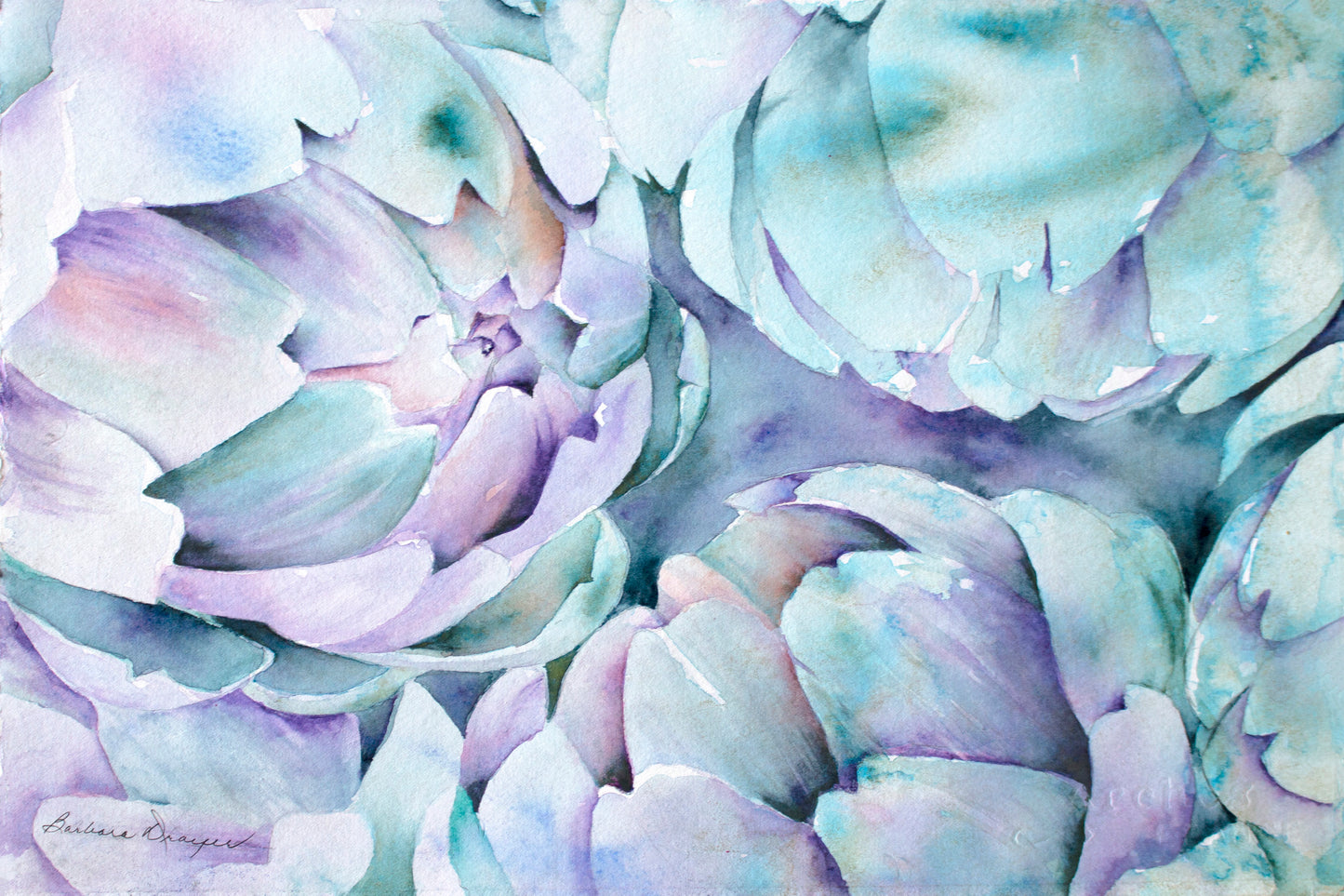 Artichokes by Barbara Drayer