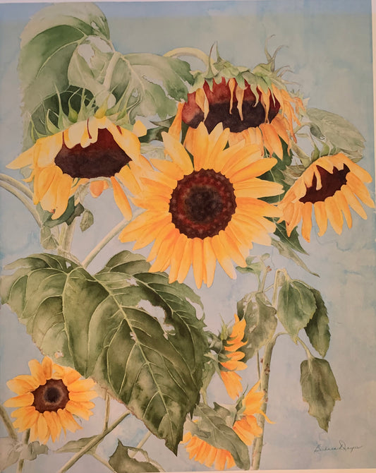 Sunflowers on Stems by Barbara Drayer