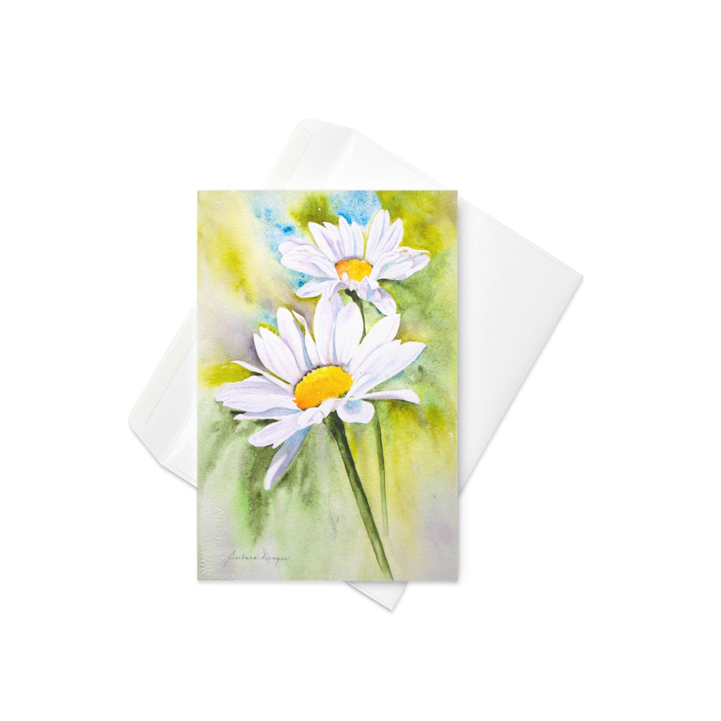Daisies by Barbara Drayer