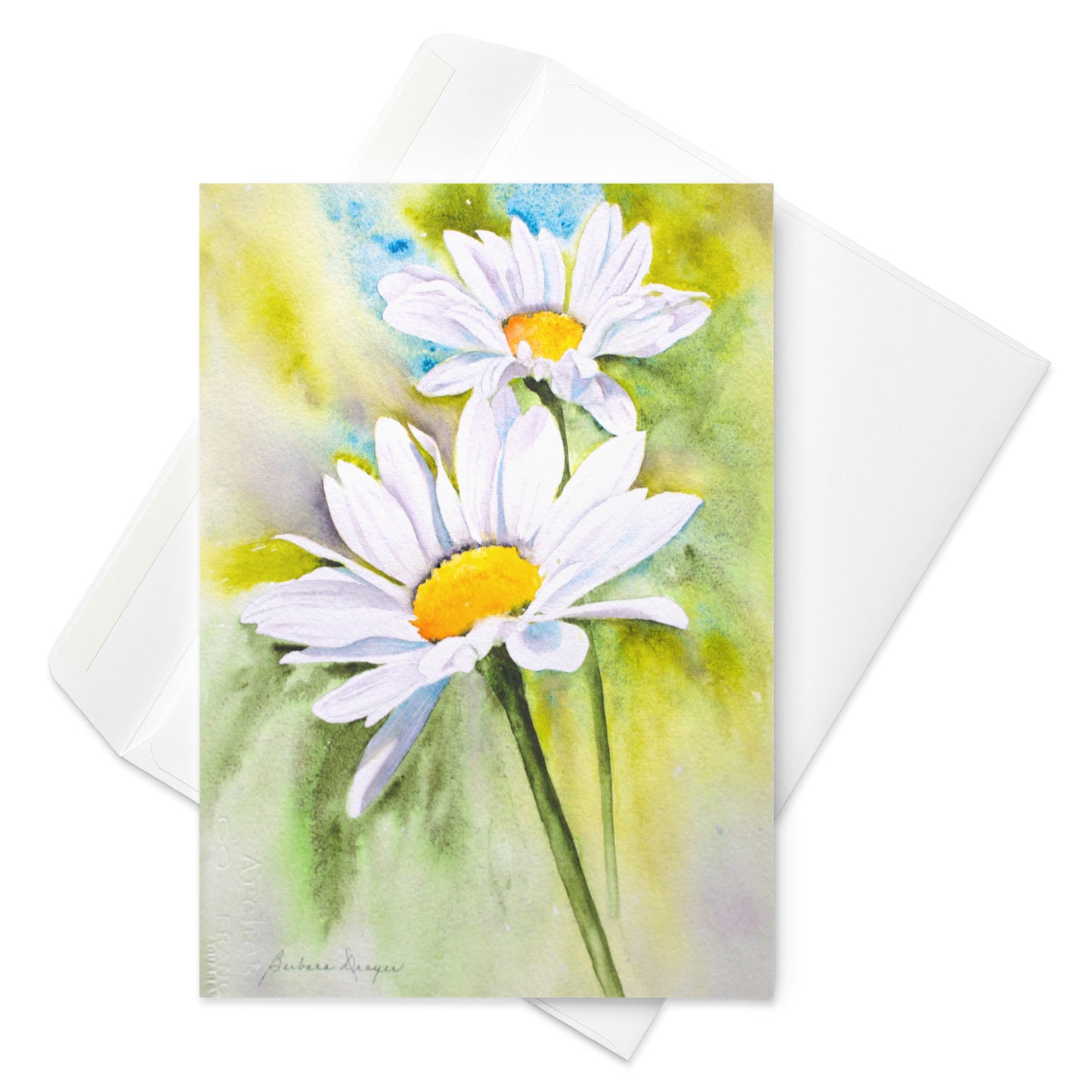 Daisies by Barbara Drayer