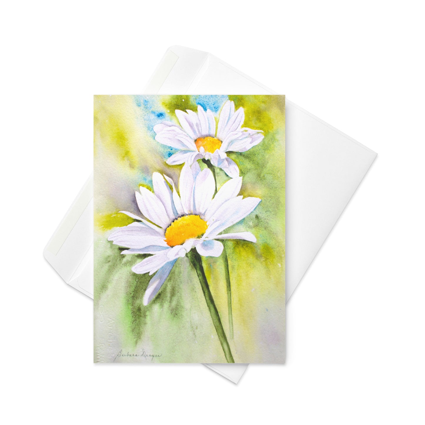 Daisies by Barbara Drayer
