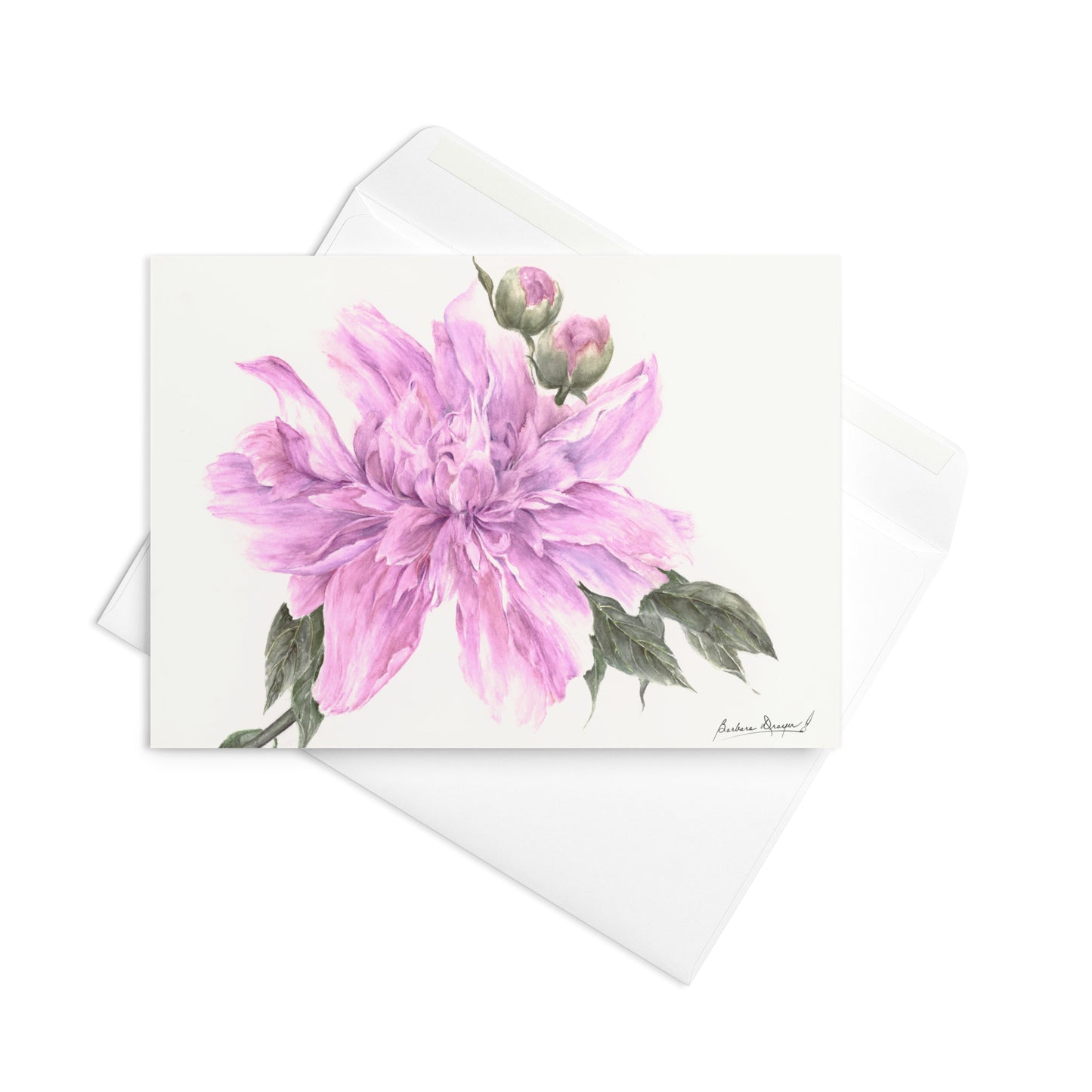 Purple Peony by Barbara Drayer