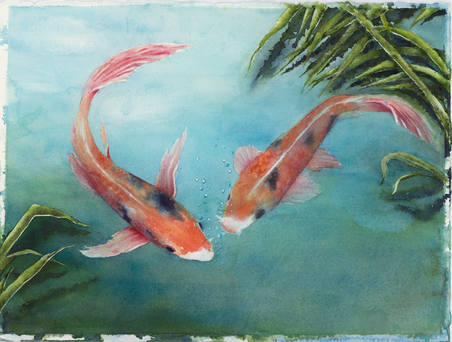 Koi Fish by Barbara Drayer