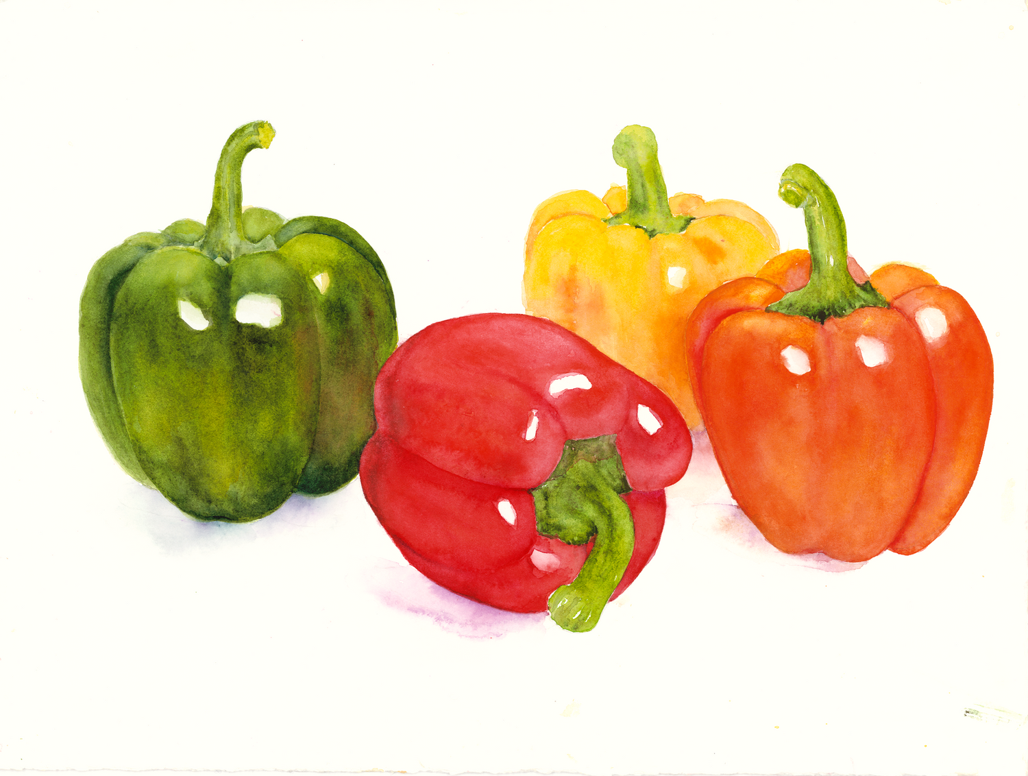 Peppers by Barbara Drayer