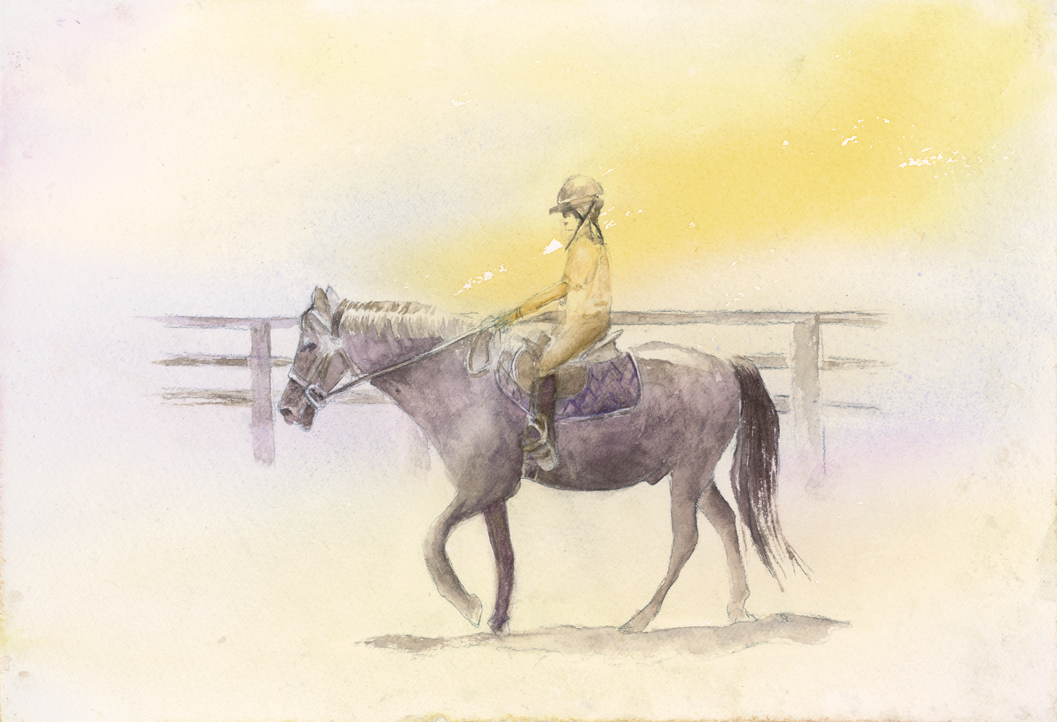 Brooke On Horse by Barbara Drayer