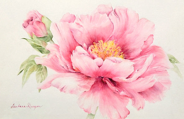 Original Peony by Barbara Drayer