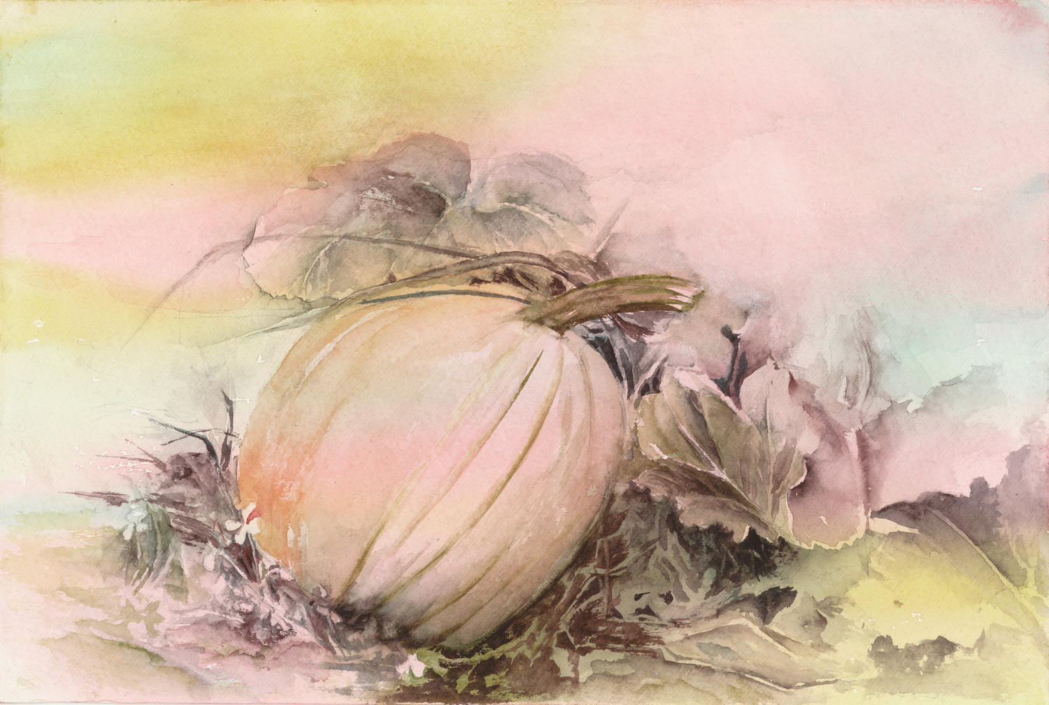 Precious Pumpkin by Barbara Drayer