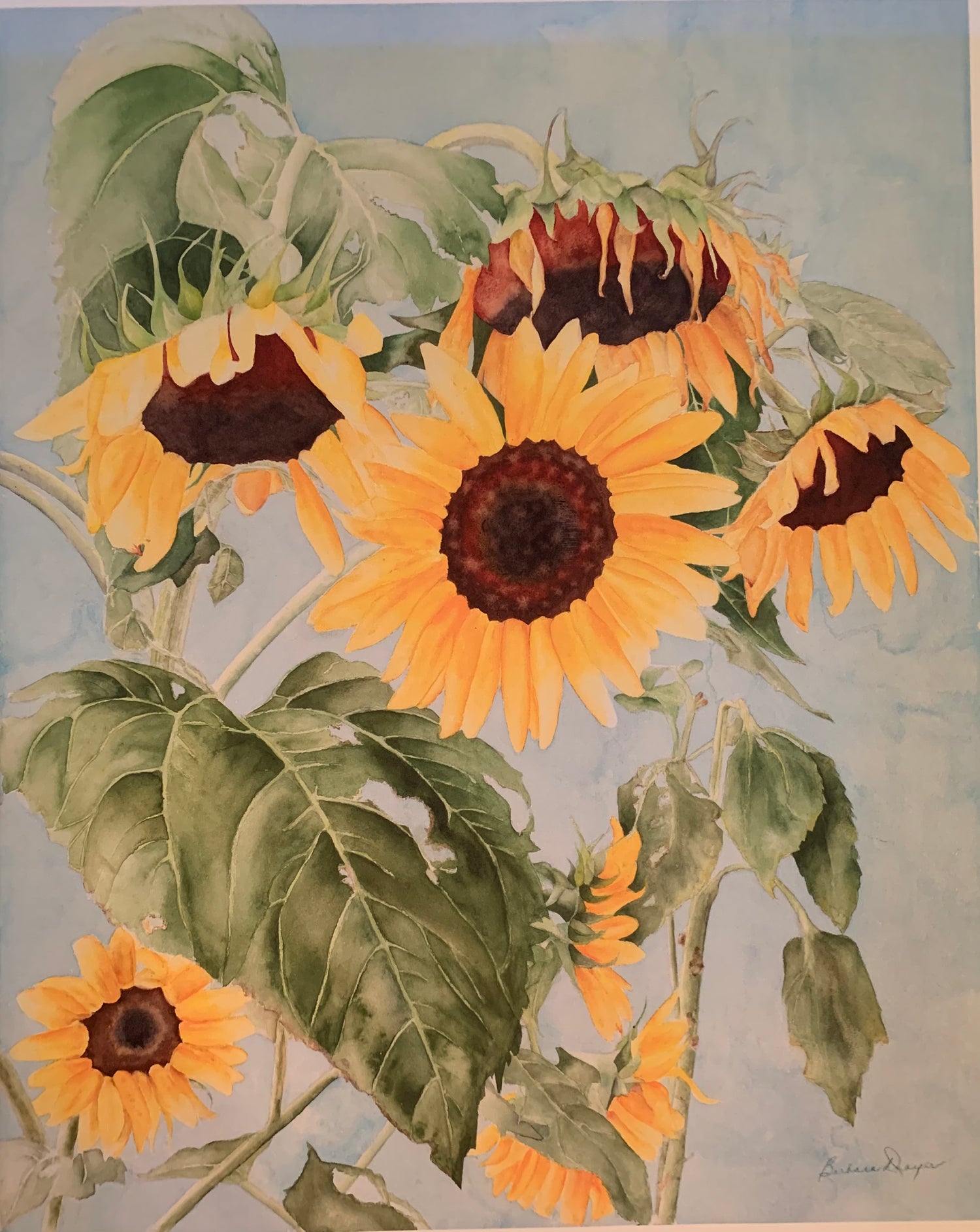 Sunflowers on Stems by Barbara Drayer