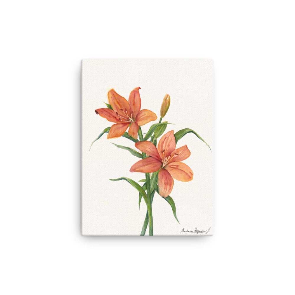 Orange Lillies by Barbara Drayer