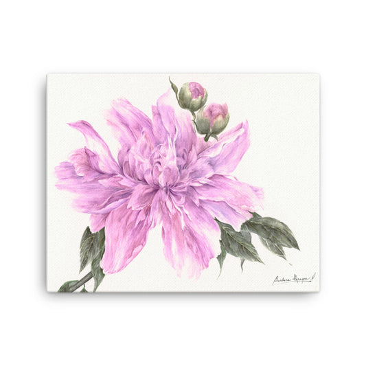 Purple Peony by Barbara Drayer