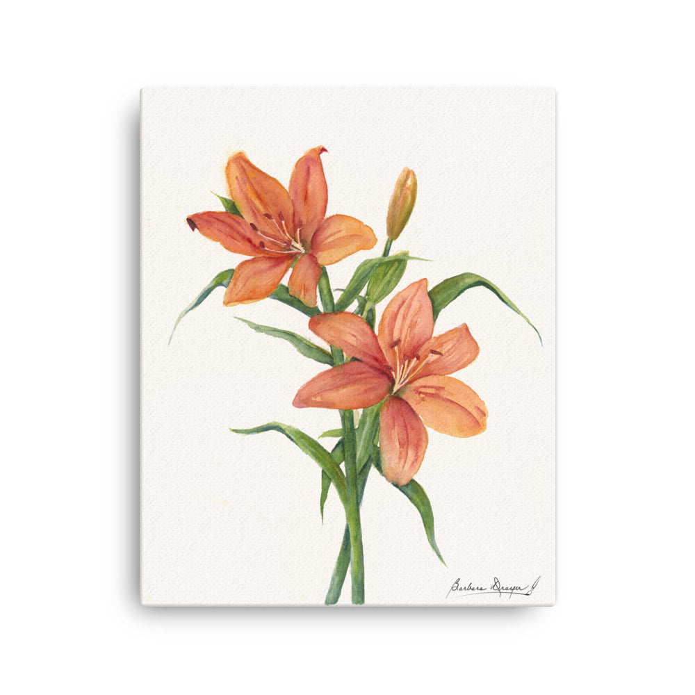 Orange Lillies by Barbara Drayer