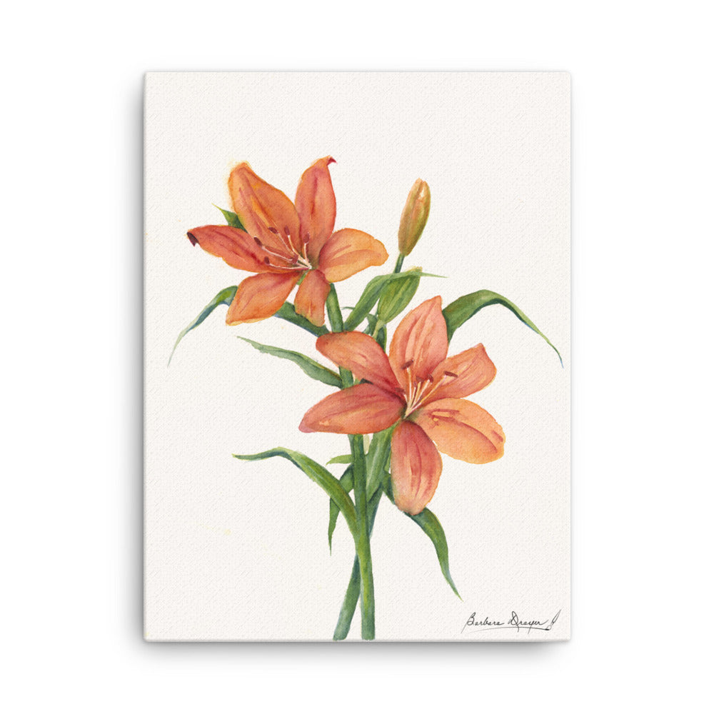 Orange Lillies by Barbara Drayer