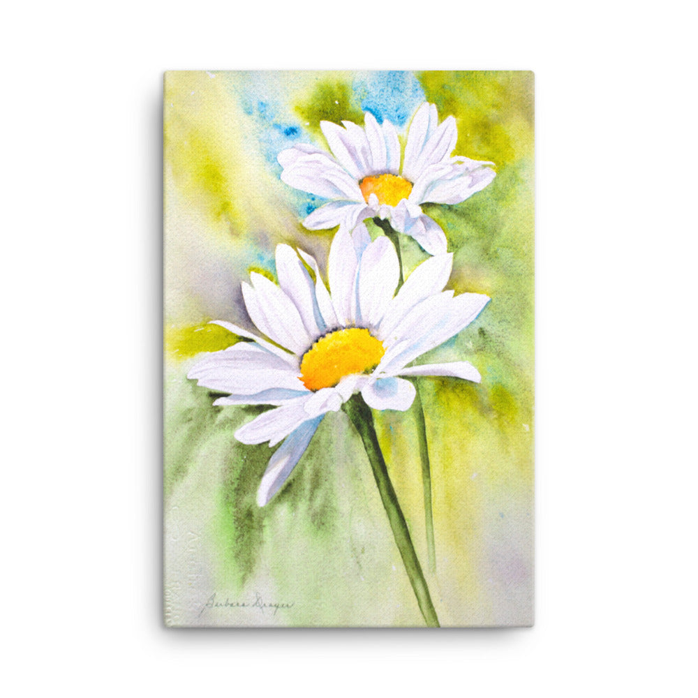 Daisies by Barbara Drayer