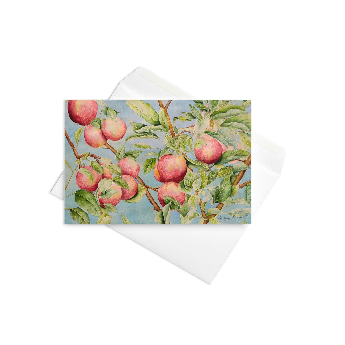 Apples on a Tree by Barbara Drayer