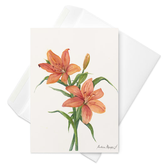 Orange Lillies by Barbara Drayer