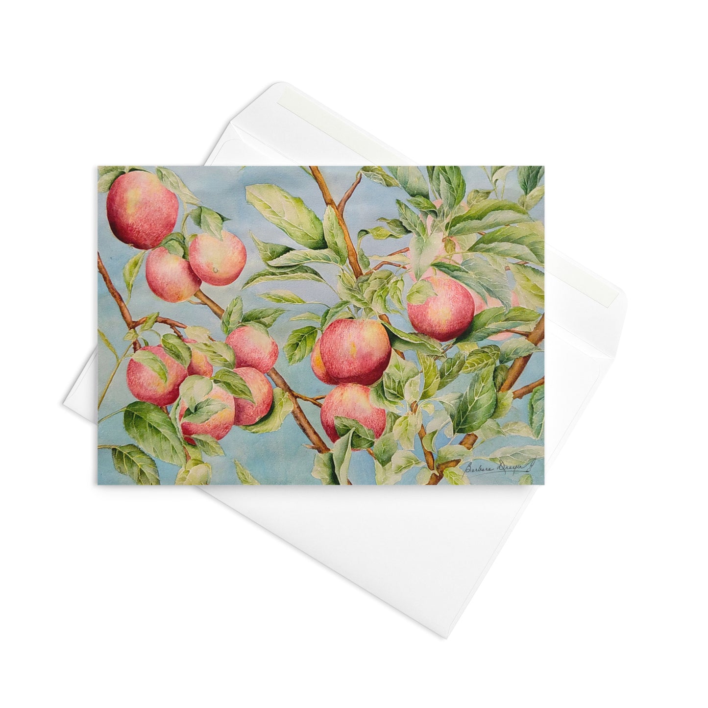 Apples on a Tree by Barbara Drayer